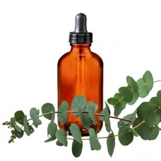 Eucalyptus Oil - Refreshing 